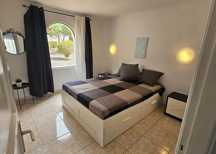 Teguisol * 科斯塔特吉塞